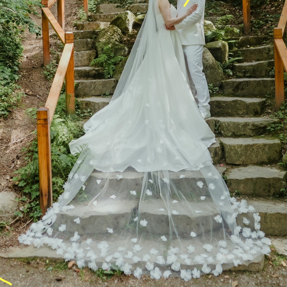 Cathedral Length Flower Petal Veil